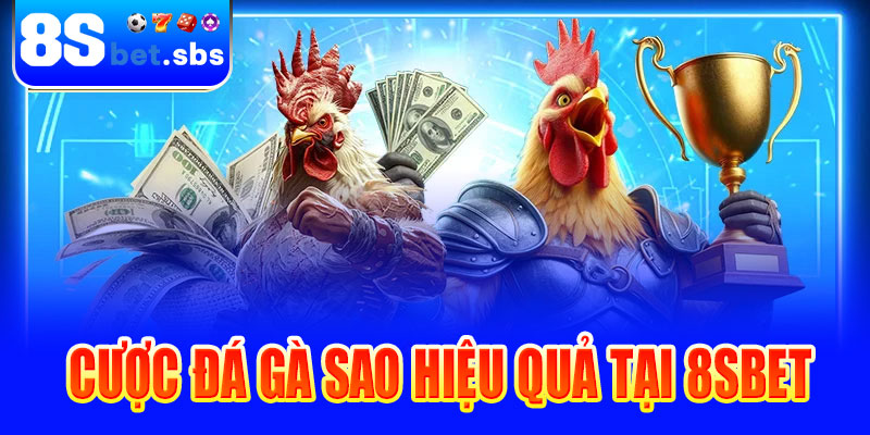 Cược đá gà sao hiệu quả tại 8sBet