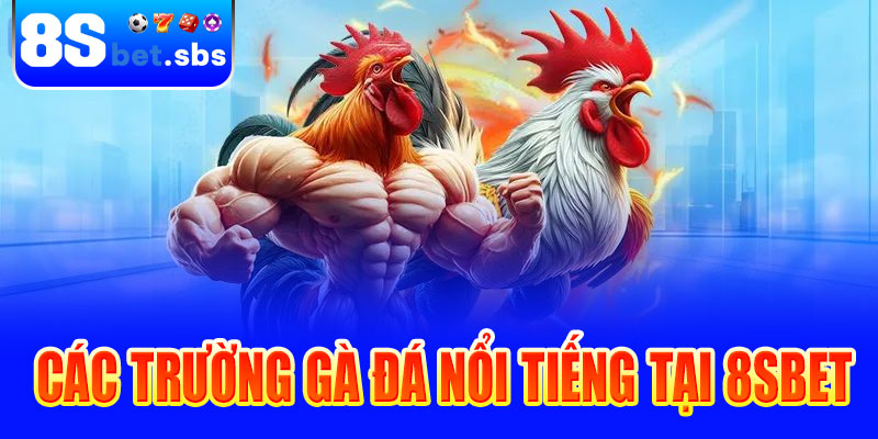 Các trường gà đá nổi tiếng tại 8sBet