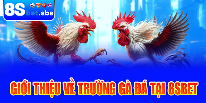 Giới thiệu về trường gà đá tại 8sbet
