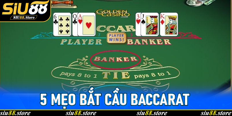 5 mẹo bắt cầu Baccarat hiệu quả tại Siu88 – Chiến thuật từ cao thủ